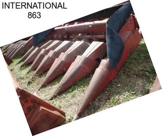 INTERNATIONAL 863