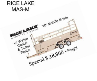 RICE LAKE MAS-M