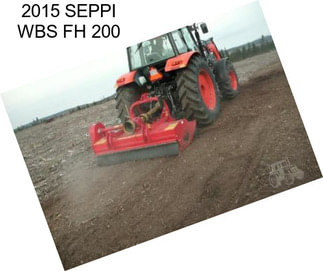 2015 SEPPI WBS FH 200