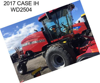 2017 CASE IH WD2504