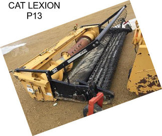 CAT LEXION P13