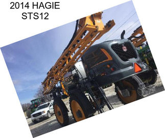 2014 HAGIE STS12