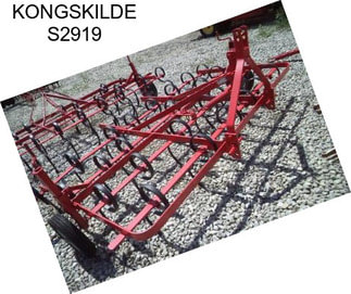 KONGSKILDE S2919