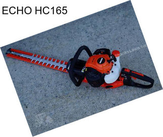 ECHO HC165