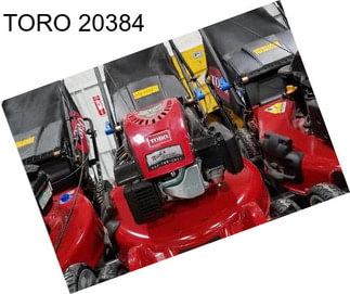 TORO 20384