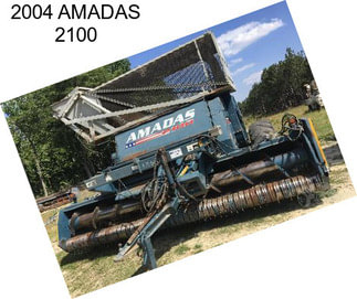 2004 AMADAS 2100