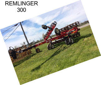 REMLINGER 300