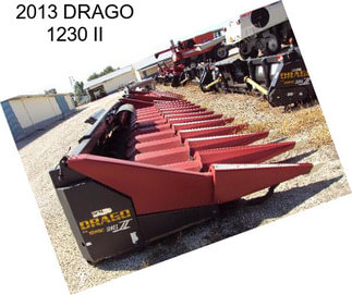 2013 DRAGO 1230 II