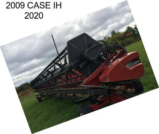 2009 CASE IH 2020