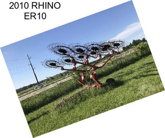 2010 RHINO ER10