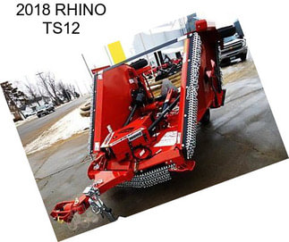 2018 RHINO TS12