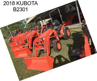 2018 KUBOTA B2301