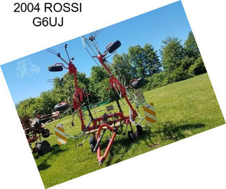 2004 ROSSI G6UJ