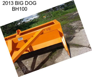 2013 BIG DOG BH100