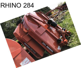 RHINO 284