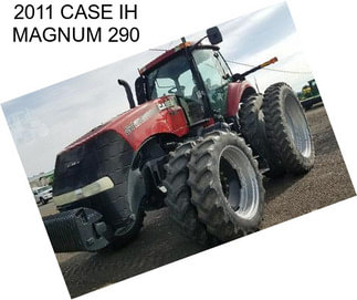 2011 CASE IH MAGNUM 290