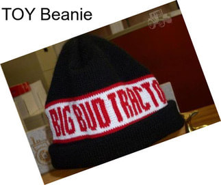 TOY Beanie