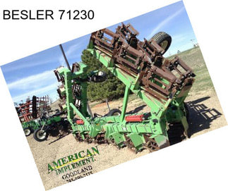 BESLER 71230