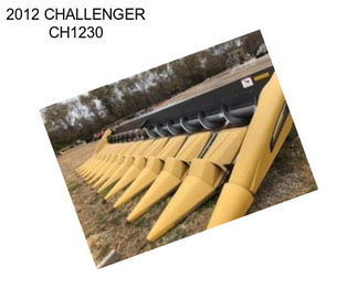2012 CHALLENGER CH1230
