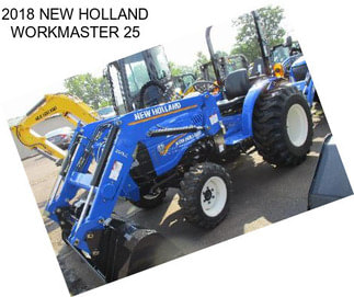 2018 NEW HOLLAND WORKMASTER 25