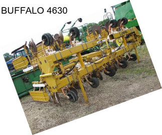 BUFFALO 4630