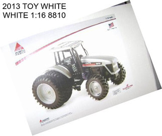 2013 TOY WHITE WHITE 1:16 8810