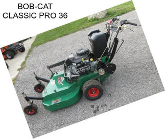 BOB-CAT CLASSIC PRO 36