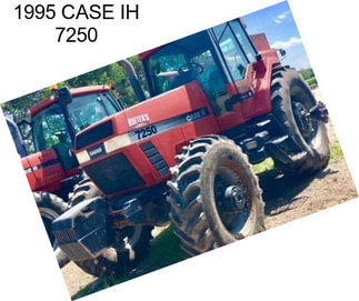 1995 CASE IH 7250