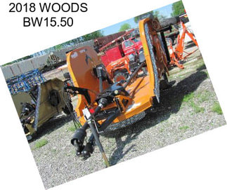 2018 WOODS BW15.50