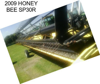 2009 HONEY BEE SP30R