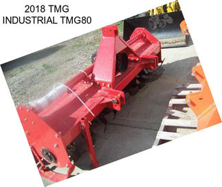 2018 TMG INDUSTRIAL TMG80