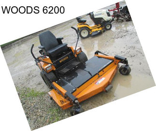 WOODS 6200