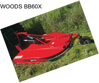 WOODS BB60X