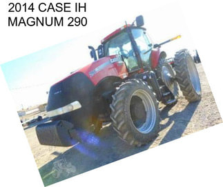 2014 CASE IH MAGNUM 290