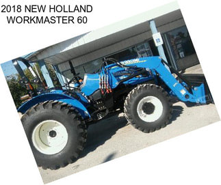 2018 NEW HOLLAND WORKMASTER 60