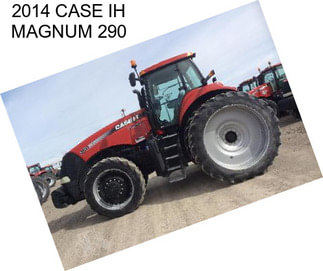 2014 CASE IH MAGNUM 290