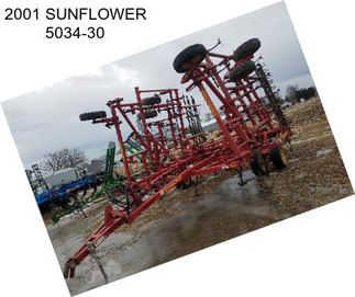 2001 SUNFLOWER 5034-30