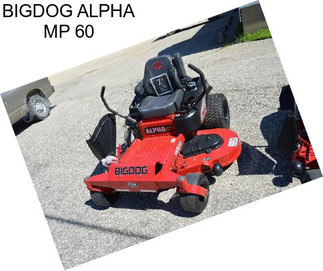 BIGDOG ALPHA MP 60