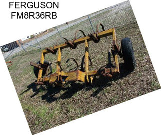 FERGUSON FM8R36RB