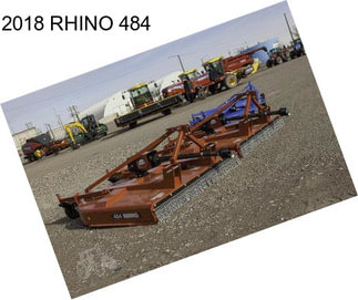 2018 RHINO 484