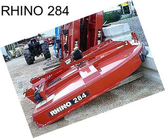 RHINO 284