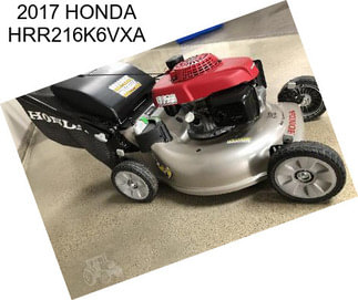 2017 HONDA HRR216K6VXA