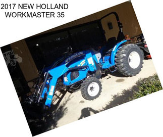 2017 NEW HOLLAND WORKMASTER 35