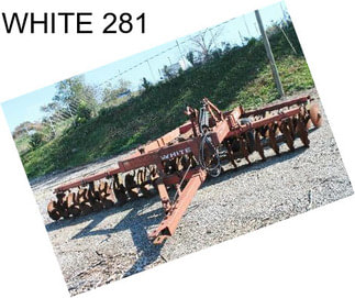 WHITE 281