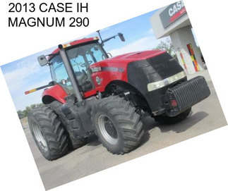 2013 CASE IH MAGNUM 290