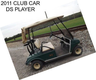 2011 CLUB CAR DS PLAYER