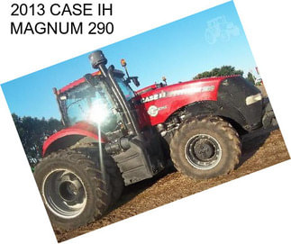 2013 CASE IH MAGNUM 290