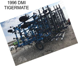 1996 DMI TIGERMATE