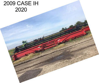 2009 CASE IH 2020