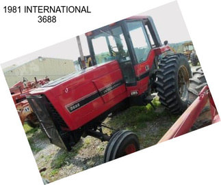 1981 INTERNATIONAL 3688